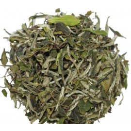 Bai Mu Dan King