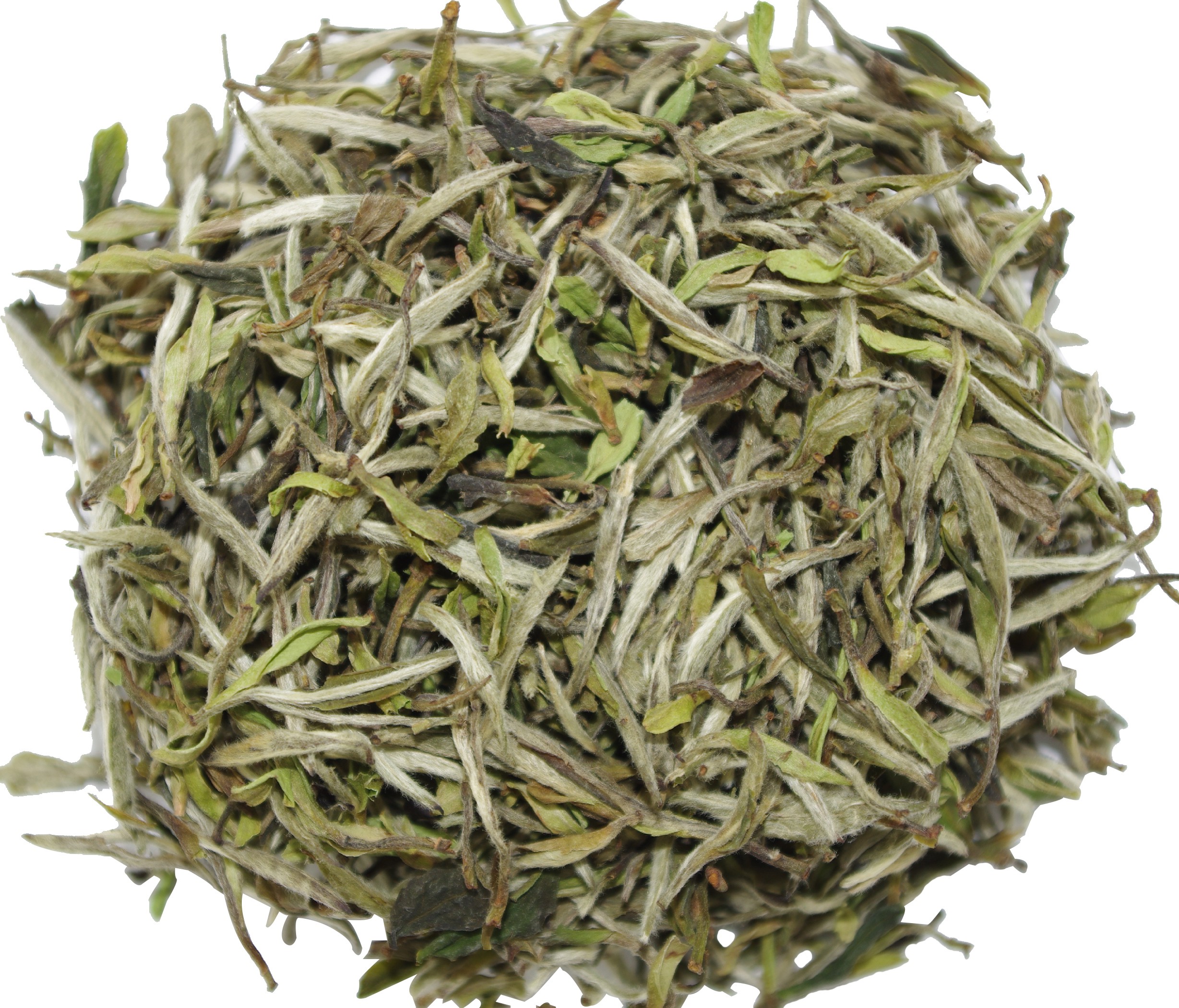 Bai Mu Dan Sauvage